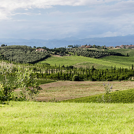 Discover tuscany by bike