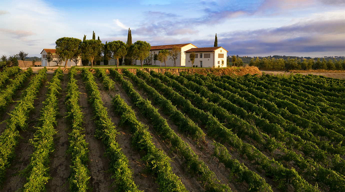 At Colle Alberti, surrounded by olive trees, vineyards, and wheat fields, you can enjoy a stay immersed in nature. Our rooms, furnished with natural materials, honor the tradition and offer splendid views of the countryside. 