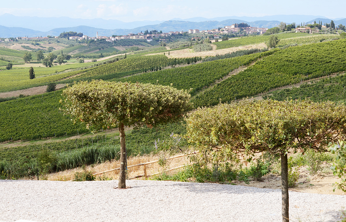 Il progetto del paesaggio intorno alla casa colonica trae ispirazione dai caratteri propri del territorio. 