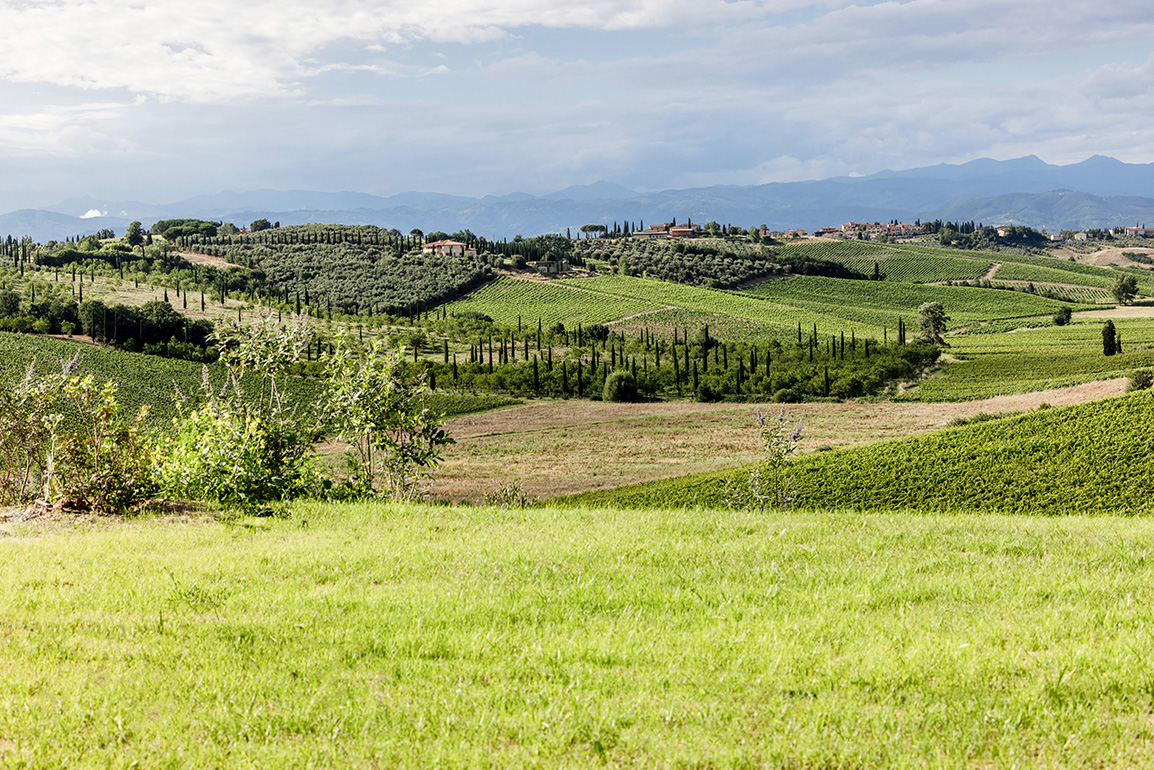 La macchia mediterranea, con i suoi profumi e la sua palette cromatica inconfondibile, abbraccia la collina in un grande respiro verde.